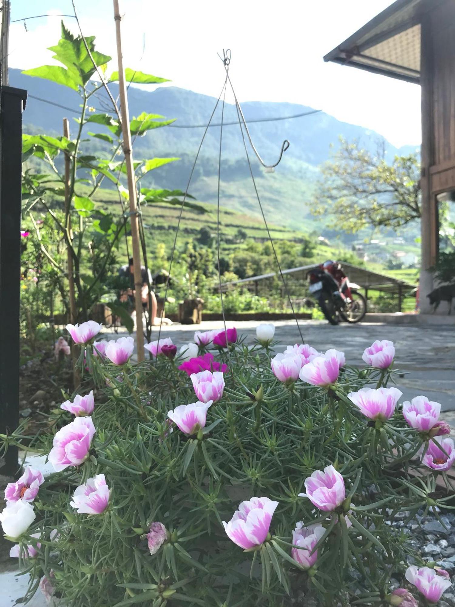 Little Ta Van Homestay Шапа Экстерьер фото